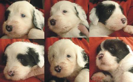 Zum Vergr��ern anklicken